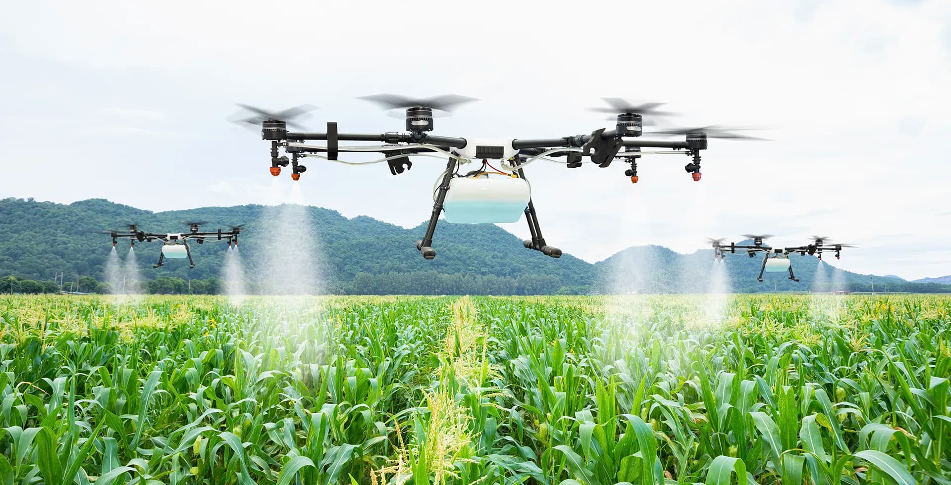 Agriculture drone tending to crops